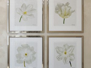 charlotte morgan white watercolour tulips Model 3D