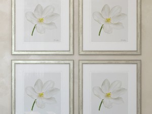 charlotte morgan white watercolour tulips Model 3D