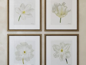 charlotte morgan white watercolour tulips Model 3D