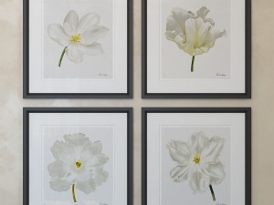 charlotte morgan white watercolour tulips Model 3D