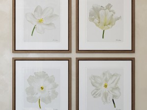 charlotte morgan white watercolour tulips Model 3D