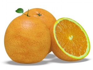 oranges 3D Model