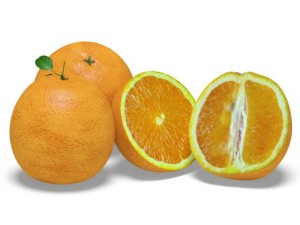 oranges 3D Model