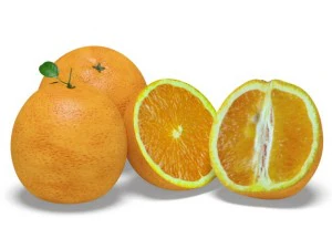 oranges 3D Model