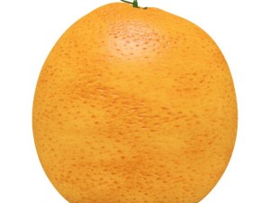 oranges 3D Model