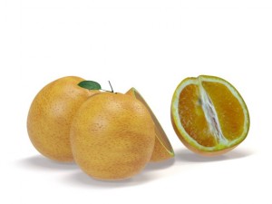 oranges 3D Model