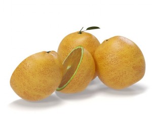 oranges 3D Model