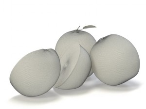 oranges 3D Model