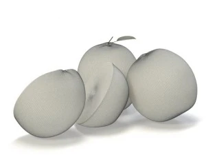 oranges 3D Model