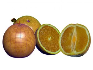 oranges 3D Model