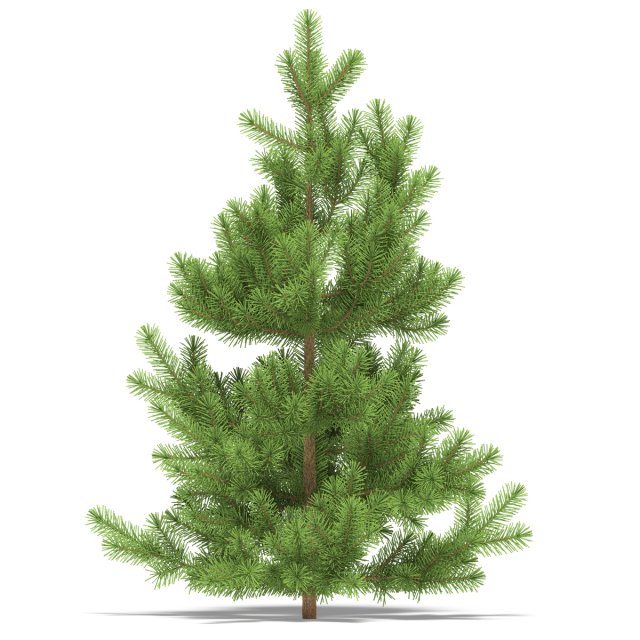pine Model 3D .c4d .max .obj .3ds .fbx .stl .blend 