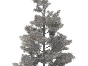 pine 3D 模型