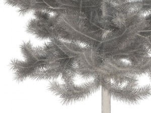 pine 3D 模型