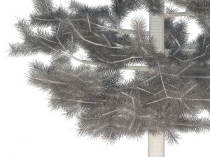 pine 3D 模型
