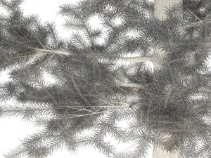 pine 3D मॉडल