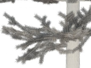 pine 3D 模型