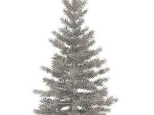 spruce 3D Model