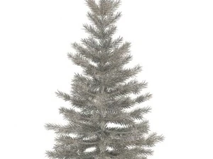 spruce 3D Model