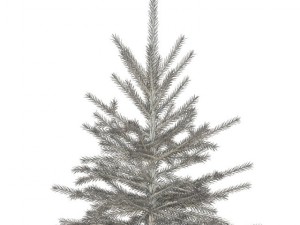spruce 3D 모델