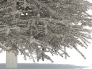 spruce 3D 모델