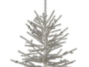 spruce 3D 모델