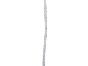 birch 3Dモデル