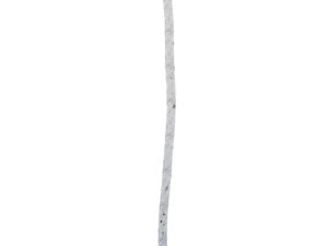 birch 3D Model