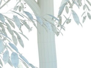 cherry blossomed 3D Модель