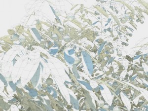 cherry tree with berries 3D Model