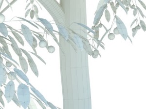 cherry tree with berries 3D Model