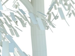 cherry tree blossomed Model 3D