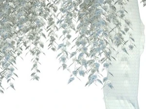 birch 3D Model