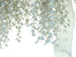 birch 3D-Modell