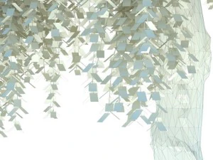 birch 3D Model