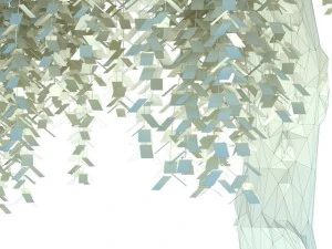 birch 3D Model