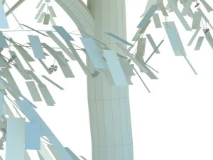 cherry tree blossomed 3D Model