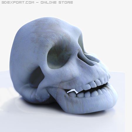 skull 3D 模型 .c4d .max .obj .3ds .fbx .stl .blend 