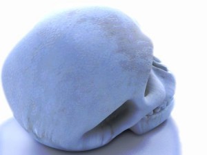 skull 3D 模型