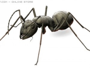 ant 3D Модель
