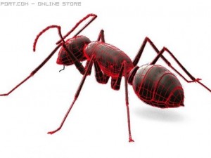 ant 3D Модель