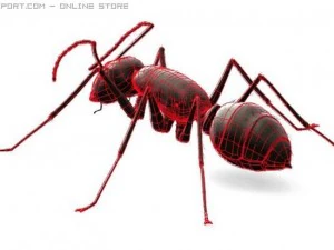 ant 3D Model