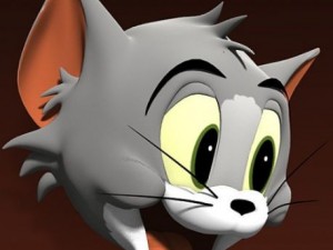 tom 3D Model
