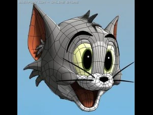 tom 3D Model