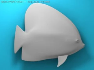 물고기 컬렉션 3D 모델