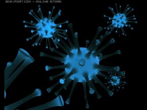 スーパーマイクロブHQのみの限定品 3Dモデル