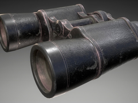 Binoculars Modèle 3D