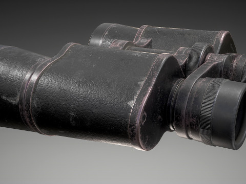 Binoculars Modèle 3D