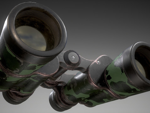 Camouflage Binoculars 3D 模型
