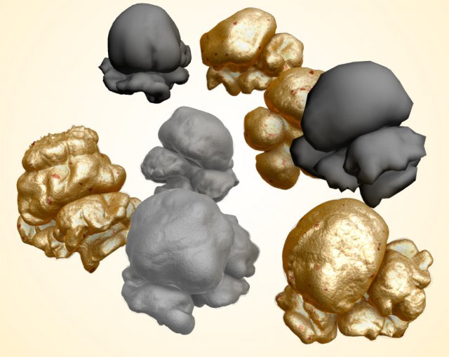 popcorn kernels 3D Модель .c4d .max .obj .3ds .fbx .stl .blend 