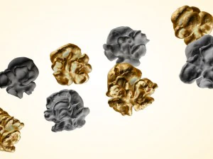 popcorn kernels 3D Model